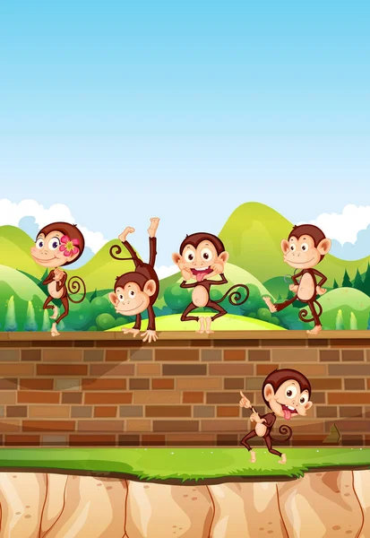Group Monkey Playing Brick Wall Illustration — Stock Vector