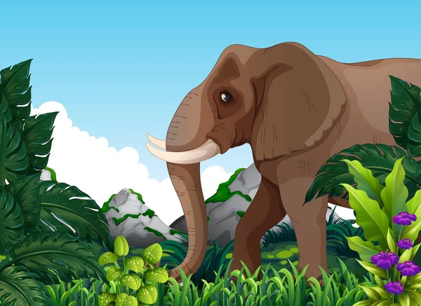Elefante Nella Foresta Illustrazione — Vettoriale Stock