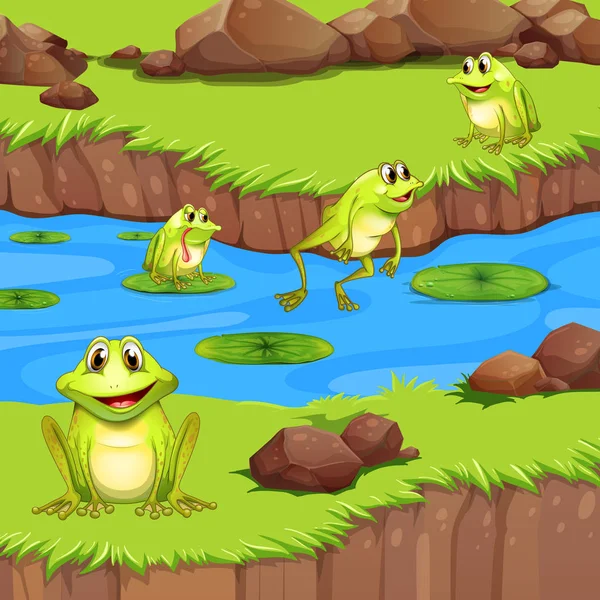 Flogs Living River Pond Illustration — Stock Vector
