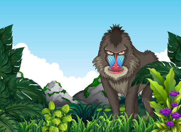 Mandrill baboon in the forest illustration