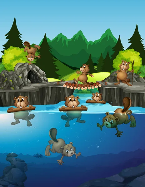 Beaver living in the lake illustration