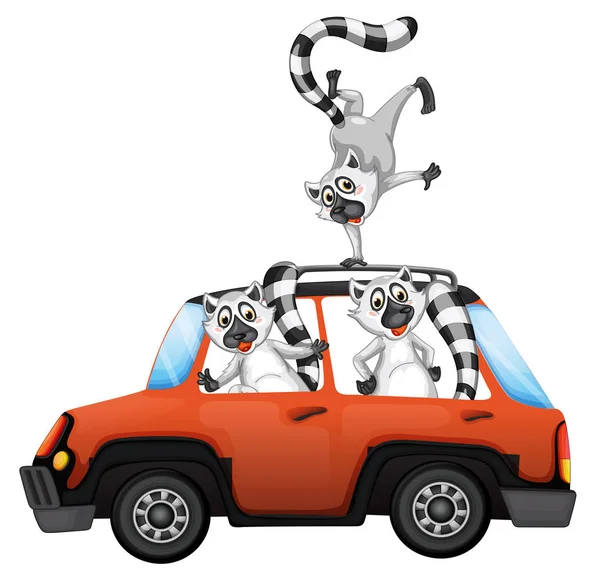 Lemur Een Auto Witte Backgroubd Afbeelding — Stockvector