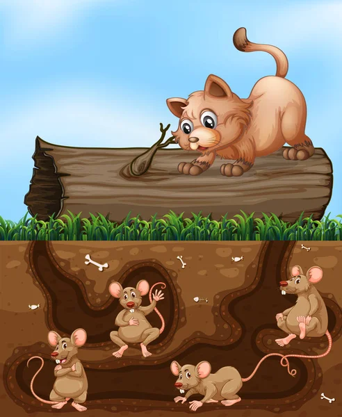 Een Kat Die Rat Hole Illustratie Wachten — Stockvector