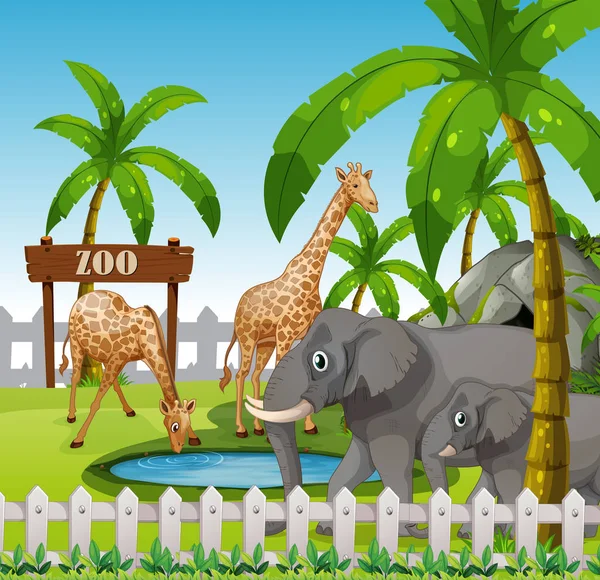 Giraffa Elefante Allo Zoo Illustrazione — Vettoriale Stock