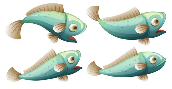 100,000 Fish clipart Vector Images