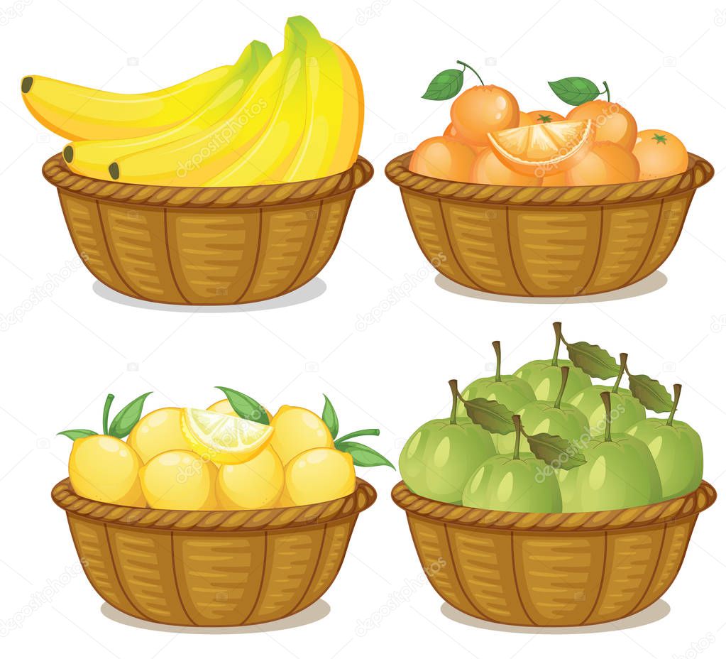 A set of fruit in basket illustration