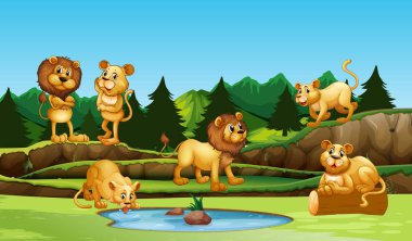 Aslan doğa resimde grup