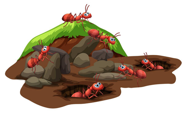 Group of ants living underground illustration