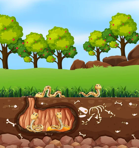 Snakes Living Underground Illustration — Stock Vector
