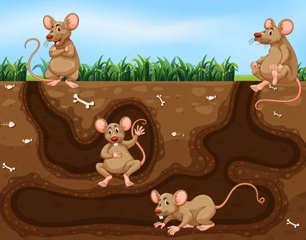 Szczur Rodziny Życia Podziemnego Ilustracja — Wektor stockowy