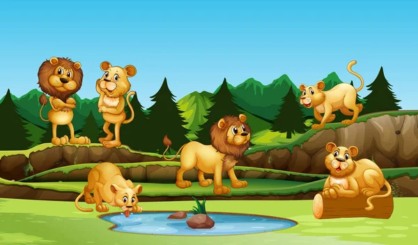 Groupe Lion Dans Nature Illustration — Image vectorielle