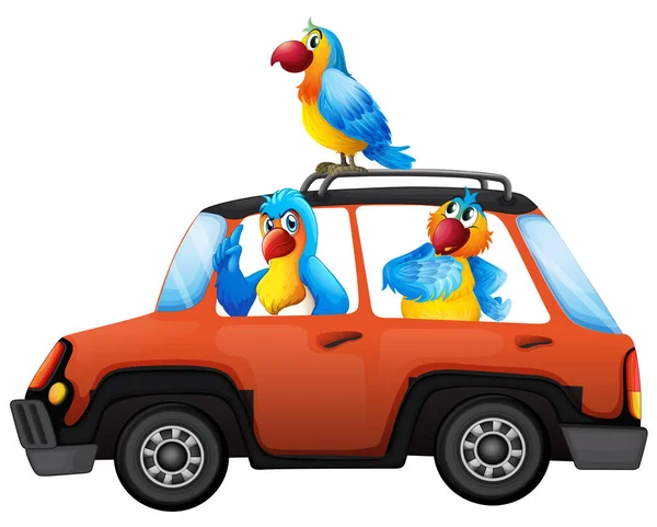 Parrot Travel Car Illustration — Stock Vector