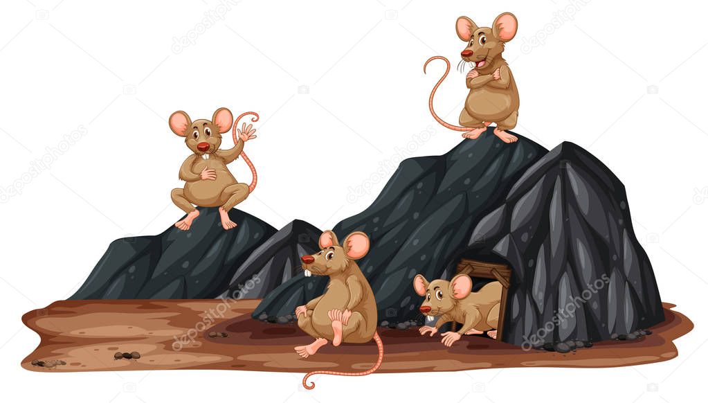 A rat in a hole illustration