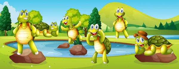 Kaplumbağalar Gölet Sahne Çizimde — Stok Vektör
