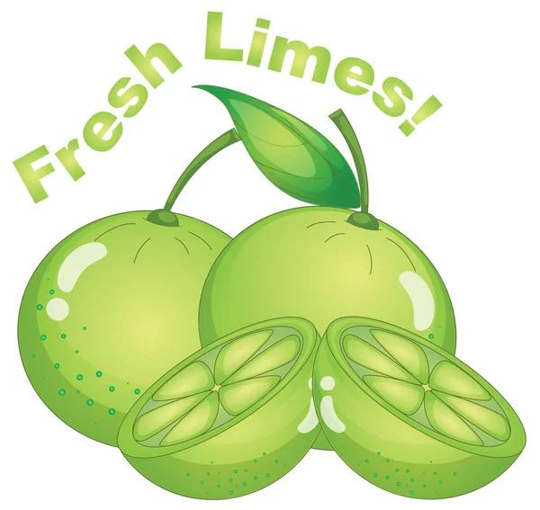 Fresh Limes White Background Illustration — Stock Vector