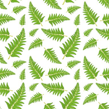 Fern yaprak Dikişsiz desen illüstrasyon