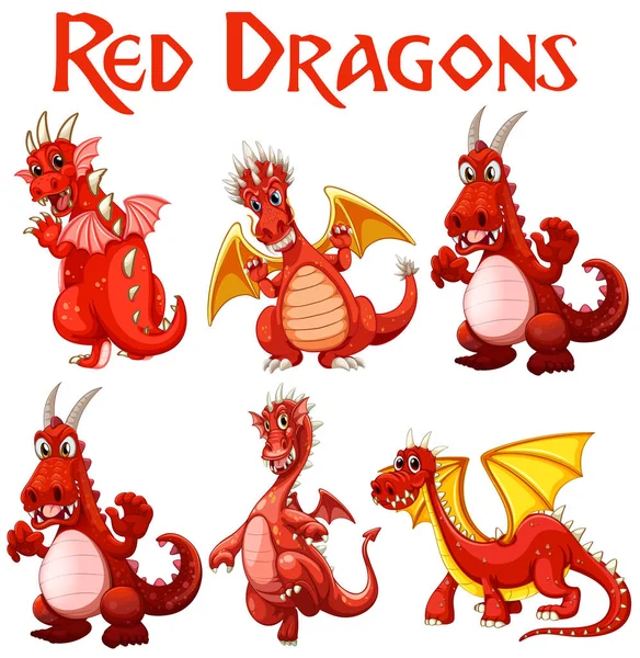 Set Red Dragon Character Illustration — Stock Vector