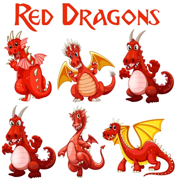Conjunto Dragão Vermelho Personagem Ilustração Gráficos Vetores