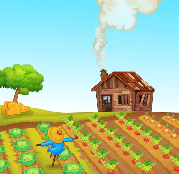 Illustration Paysage Agricole Rural — Image vectorielle