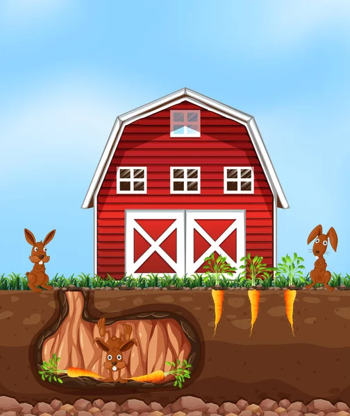 Lapin Creusant Terrain Ferme Illustration — Image vectorielle