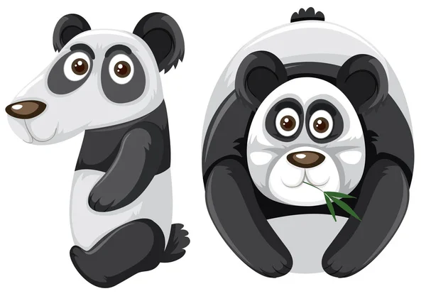 Desítka Panda Charakter Obrázku — Stockový vektor
