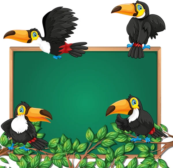 Toucan Εικονογράφηση Πλαίσιο Μαυροπίνακα — Διανυσματικό Αρχείο