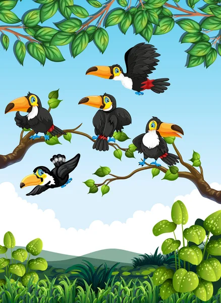 Ομάδα Toucan Στην Απεικόνιση Της Φύσης — Διανυσματικό Αρχείο