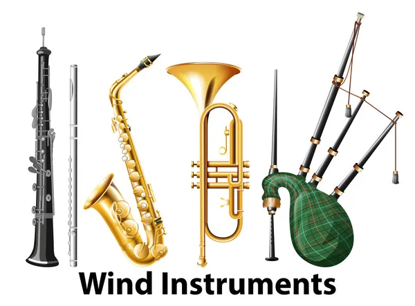 Set Van Blaasinstrumenten Illustratie — Stockvector