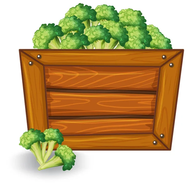 Broccoli Houten Banner Afbeelding — Stockvector