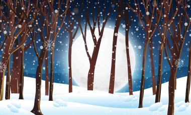 Winter forest at night scene illustration clipart