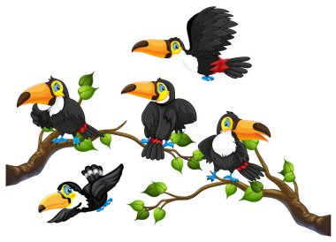 Ağaç dalı illüstrasyon Toucan