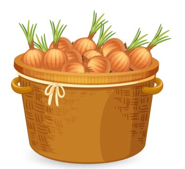 Soğan illüstrasyon bir sepet