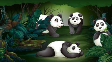 Panda karanlık ormanın çizimde