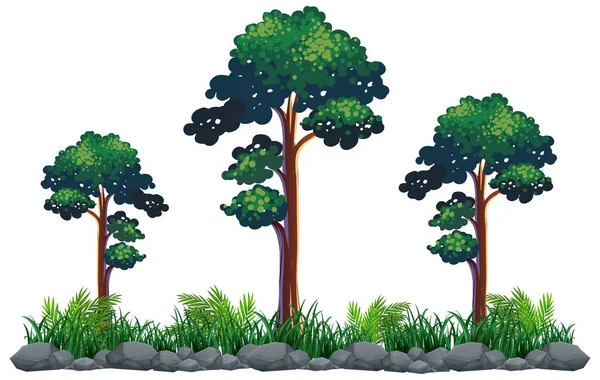 Isolated Tree White Background Illustration — Stock Vector