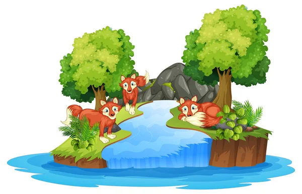 Izolované Fox Ostrově Ilustrace — Stockový vektor