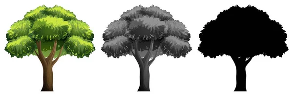 孤立した木のイラストのセット — ストックベクタ