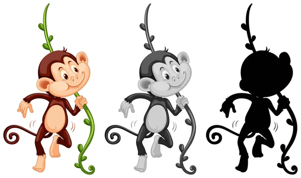 Uppsättning Monkey Karaktär Illustration — Stock vektor