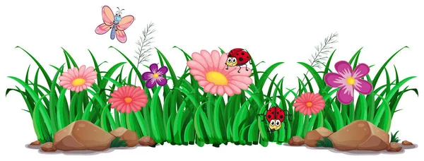 Flower Grass Decor Illustration — Stock Vector