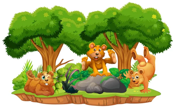 Urso Ilha Isolada Selva Ilustração —  Vetores de Stock