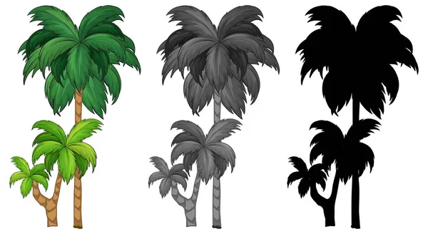 Set Palm Tree Illustration — Stock Vector