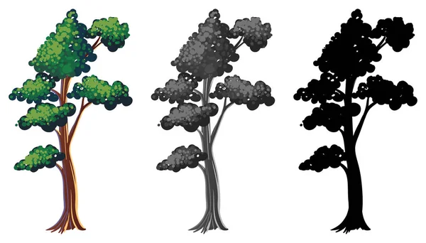 Set Different Tree Design Illustration — Stock Vector