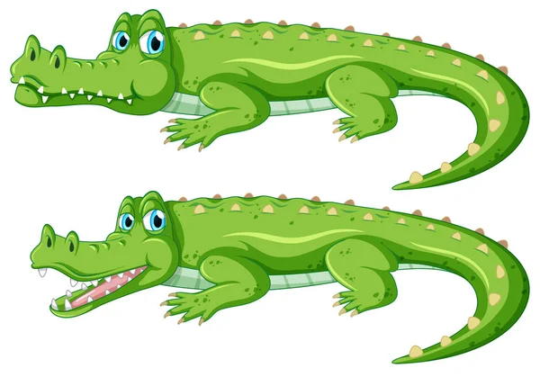 Conjunto Ilustração Caráter Crocodilo —  Vetores de Stock