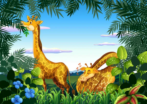 Girafa Natureza Ilustração —  Vetores de Stock