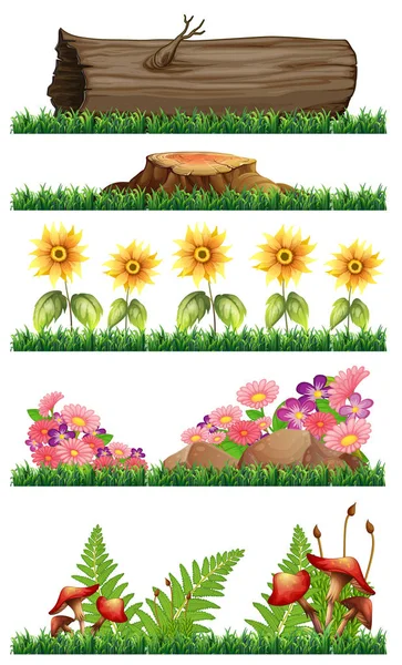 Conjunto Natureza Decoração Ilustração — Vetor de Stock