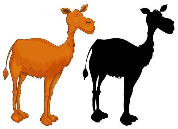 Set Camel Character Illustration — Stock Vector