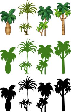 Palmiye ağacı tasarlamak kümesi