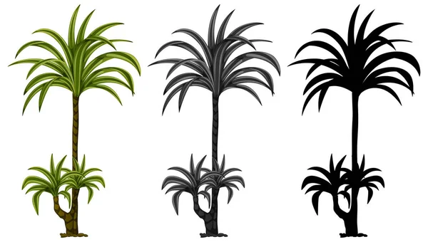 Set Plant Design Illustratie — Stockvector