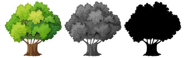 Set Isolated Tree Illustration — Stock Vector