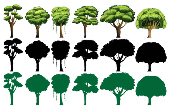 Ensemble Différentes Illustrations Arbres — Image vectorielle