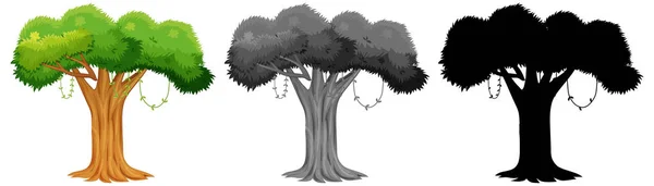 Zestaw Drzewo Ilustracja Projekt — Wektor stockowy